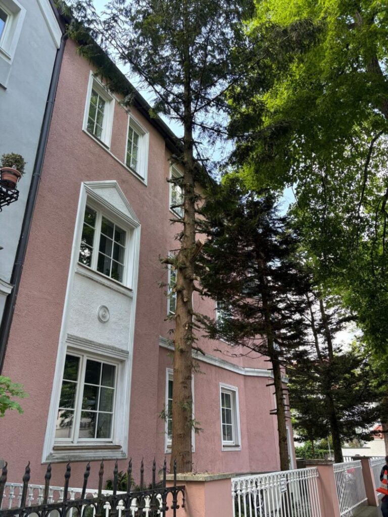 Grünanlagenpflege Wir pflegen Ihre Grünanlagen und Gärten mit Liebe zum Detail – damit Ihre Außenanlagen stets in bestem Zustand sind. Ob einmaliger Einsatz oder regelmäßige Betreuung: Von Rasenmähen über Hecken- und Baumschnitt bis zur Beetpflege und Unkrautbeseitigung übernehmen wir alle Arbeiten, damit Sie Ihre grüne Oase entspannt genießen können.